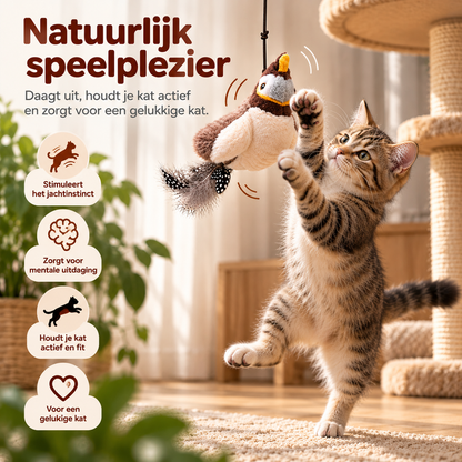 Kat speelt met Fladder vogel kattenspeelgoed van Pootly dat het natuurlijke jachtinstinct stimuleert