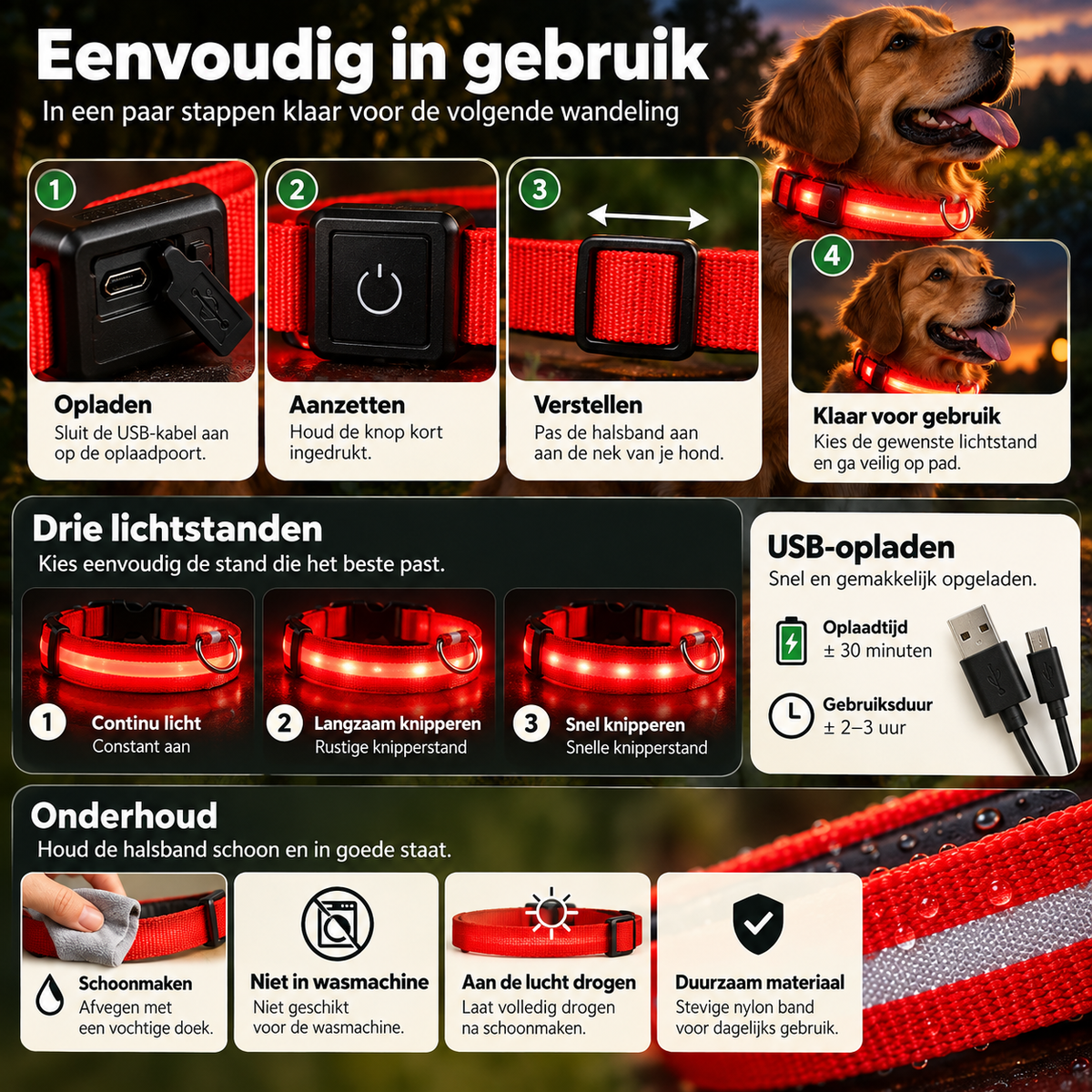 Uitleg voor het opladen en gebruiken van de Lumi LED hondenhalsband met drie lichtstanden, verstelbare pasvorm en USB-oplaadfunctie
