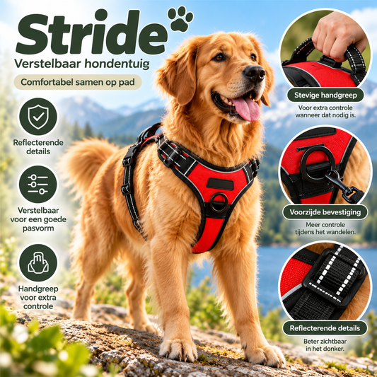 Golden retriever draagt rood Pootly Stride hondentuig met verstelbare banden, reflecterende details en stevige handgreep