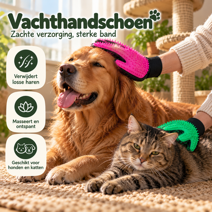 Hond en kat worden verzorgd met een Pootly vachthandschoen met zachte siliconen noppen om losse haren te verwijderen