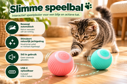 Zoomie interactieve kattenbal in roze en turquoise met automatische beweging, USB-C oplaadfunctie en stil ontwerp voor actief speelplezier