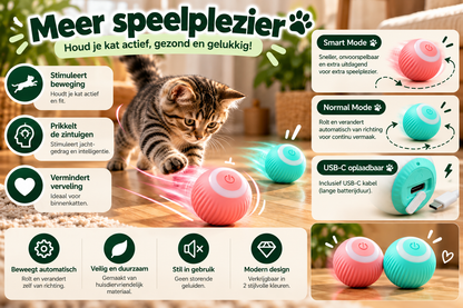 Kat speelt met Zoomie automatische kattenbal met Smart Mode en Normal Mode, ontworpen om beweging en natuurlijk jachtgedrag te stimuleren